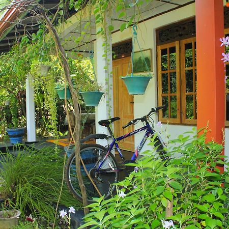 Nature Night Homestay Сигирия Екстериор снимка